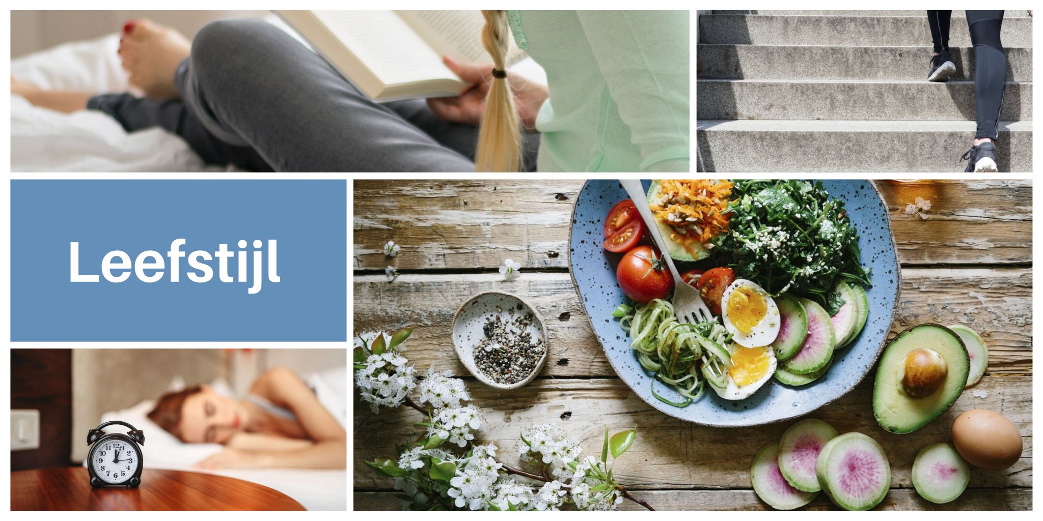 Leefstijlcoach Zoetermeer | Project Leefkracht